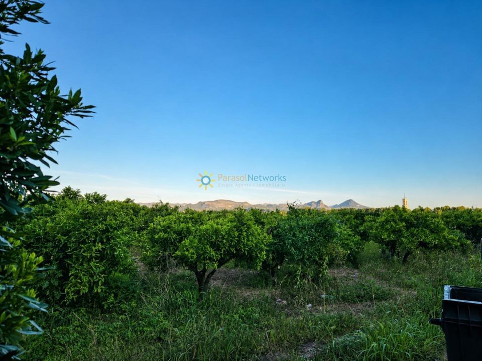 Helårsgrund i Palmera, Valencia - foto 2